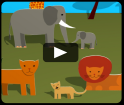 video - Dieren van de Afrikaanse savanne